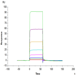 Human TIE2 Protein (TIE-HM201)