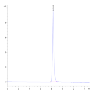 Human TIE2 Protein (TIE-HM201)