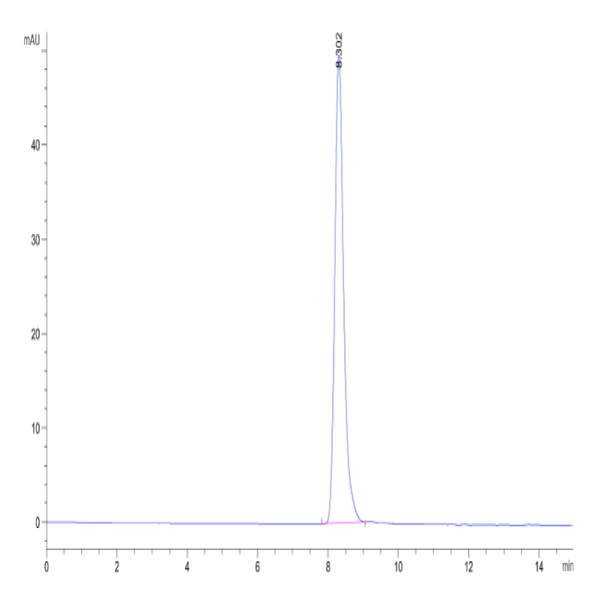 Human TIE2 Protein (TIE-HM201)