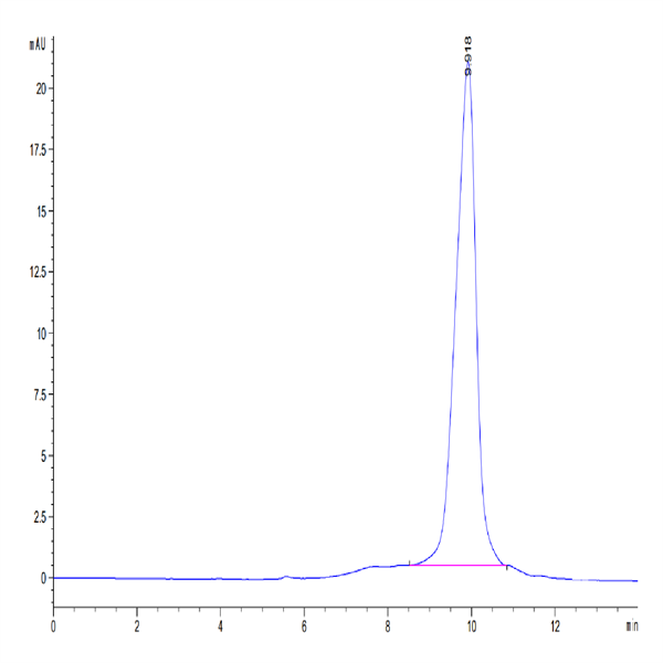 Cynomolgus TIGIT Protein (TIG-CM110)