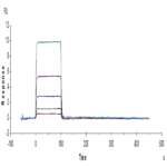 Human TIGIT Protein (TIG-HM110)