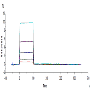 Human TIGIT Protein (TIG-HM110)