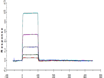 Human TIGIT Protein (TIG-HM110)