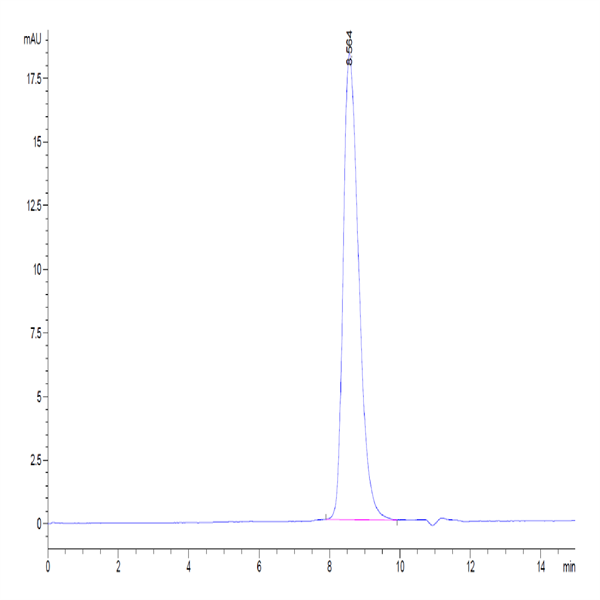 Human TIGIT Protein (TIG-HM110)