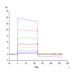 Human TIGIT Protein (TIG-HM210)