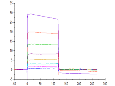 Human TIGIT Protein (TIG-HM210)