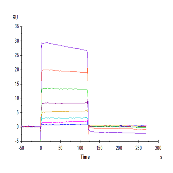 Human TIGIT Protein (TIG-HM210)