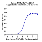 Human TIGIT Protein (TIG-HM210)