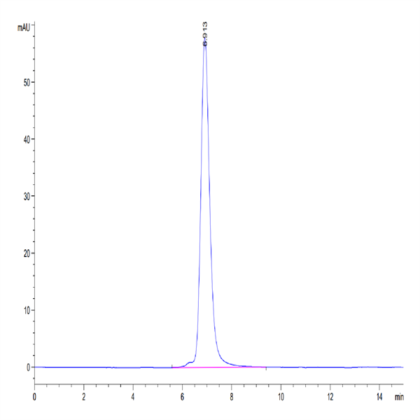Human TIGIT Protein (TIG-HM210)