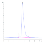 Cynomolgus TIM-1/HAVCR1 Protein (TIM-CM101)