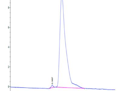 Cynomolgus TIM-1/HAVCR1 Protein (TIM-CM101)