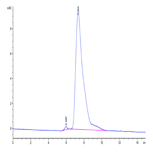 Cynomolgus TIM-1/HAVCR1 Protein (TIM-CM101) Cynomolgus TIM-1/HAVCR1 Protein (TIM-CM101)