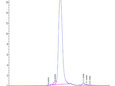 Cynomolgus TIM4 Protein (TIM-CM104)