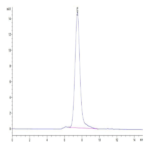 Human TIM-1/HAVCR1 Protein (TIM-HM101)