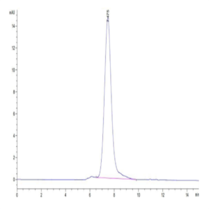Human TIM-1/HAVCR1 Protein (TIM-HM101)