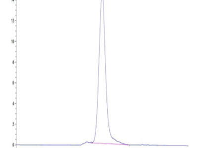 Human TIM-1/HAVCR1 Protein (TIM-HM101)