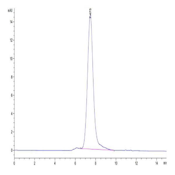 Human TIM-1/HAVCR1 Protein (TIM-HM101) Human TIM-1/HAVCR1 Protein (TIM-HM101)
