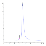 Human TIM-4 Protein (TIM-HM104)