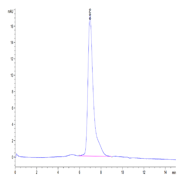Human Tim-3/HAVCR2 Protein (TIM-HM131)