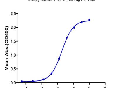 Human TIMP-2 Protein (TIM-HM1P2)