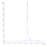 Human TIMP-2 Protein (TIM-HM1P2)