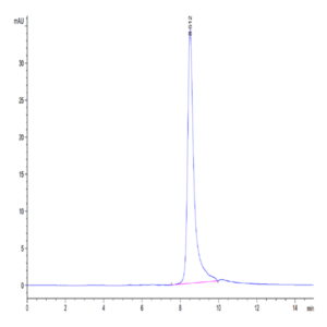 Human TIMP-2 Protein (TIM-HM1P2)