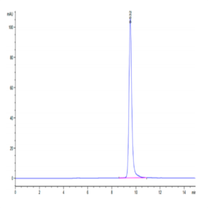 Human TIMP1 Protein (TIM-HM201)