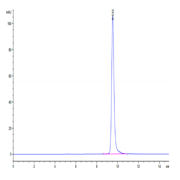 Human TIMP1 Protein (TIM-HM201)