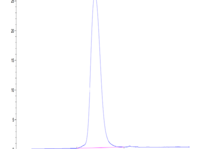 Mouse Tim-3/HAVCR2 Protein (TIM-MM131)