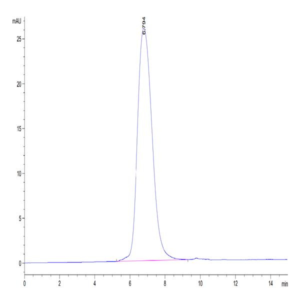 Mouse Tim-3/HAVCR2 Protein (TIM-MM131) Mouse Tim-3/HAVCR2 Protein (TIM-MM131)