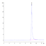 Mouse TIMP-2 Protein (TIM-MM1P2)