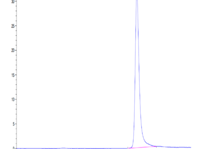 Mouse TIMP-2 Protein (TIM-MM1P2)