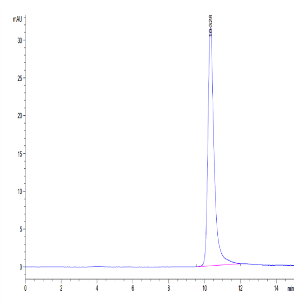Mouse TIMP-2 Protein (TIM-MM1P2)
