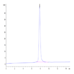 Mouse TIMP1 Protein (TIM-MM201)