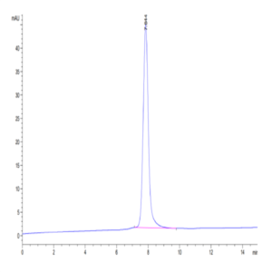 Mouse TIMP1 Protein (TIM-MM201)