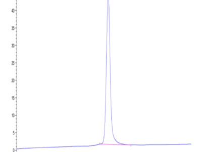 Mouse TIMP1 Protein (TIM-MM201)