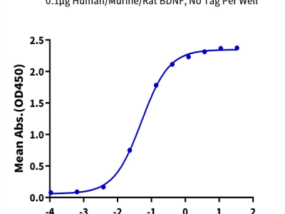 Human TrkB/NTRK2 Protein (TKB-HM101)