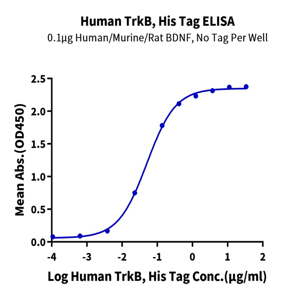 Human TrkB/NTRK2 Protein (TKB-HM101) Human TrkB/NTRK2 Protein (TKB-HM101)