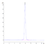 Human TrkB/NTRK2 Protein (TKB-HM101)