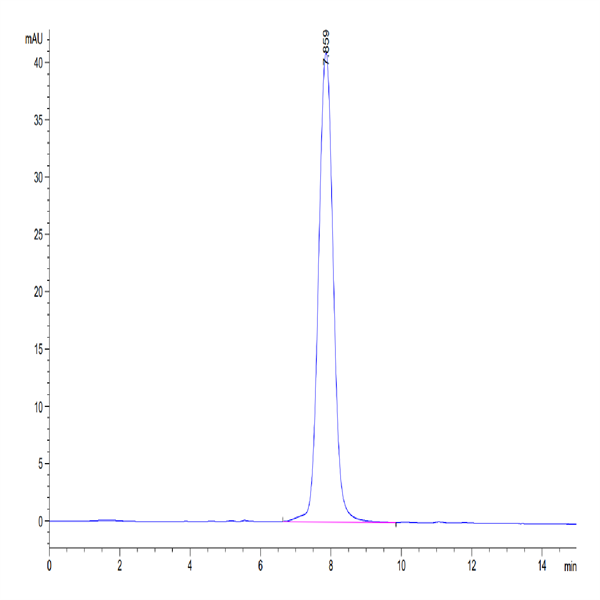 Human TrkB/NTRK2 Protein (TKB-HM101)