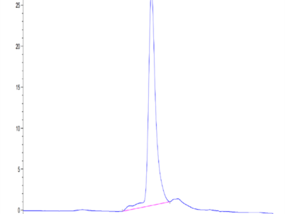 Mouse TREML2/TLT-2 Protein (TLT-MM102)