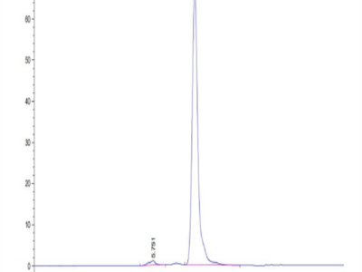 Mouse TLT-1/TREML1 Protein (TLT-MM201)