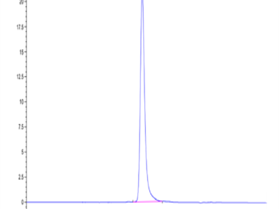 Human Tenascin Protein (TNC-HM101)