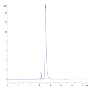 Mouse Tenascin Protein (TNC-MM101)