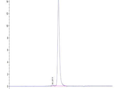 Mouse Tenascin Protein (TNC-MM101)