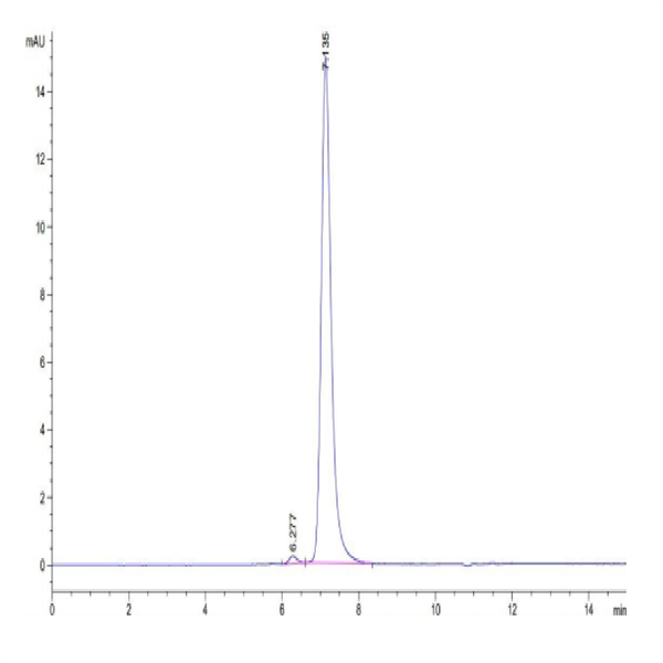 Mouse Tenascin Protein (TNC-MM101) Mouse Tenascin Protein (TNC-MM101)