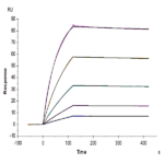 Cynomolgus TNF alpha Protein (TNF-CM10A)