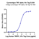 Cynomolgus TNF alpha Protein (TNF-CM10A)