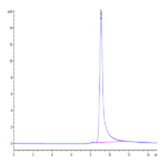 Cynomolgus TNF alpha Protein (TNF-CM10A)