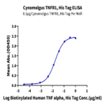 Cynomolgus TNFR1/CD120a/TNFRSF1A Protein (TNF-CM1R1)
